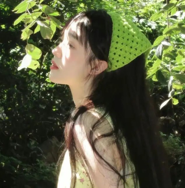 时之歌—花与焰的狂想诗